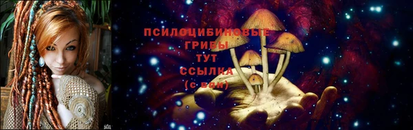 молекула духа Михайловка