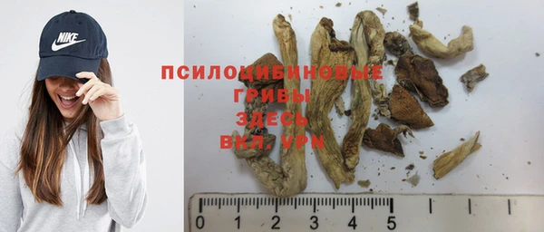 молекула духа Михайловка