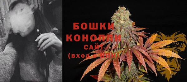 молекула духа Михайловка