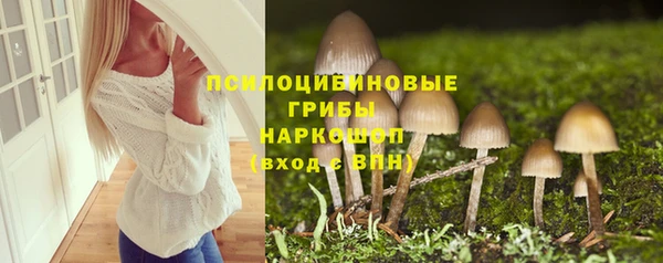 а пвп мука Михайлов